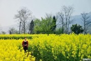 国产春色在线,探寻中国电影中的青春与色彩